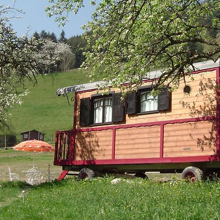 Le Repaire De Mitzerle Villa Mitzach Buitenkant foto