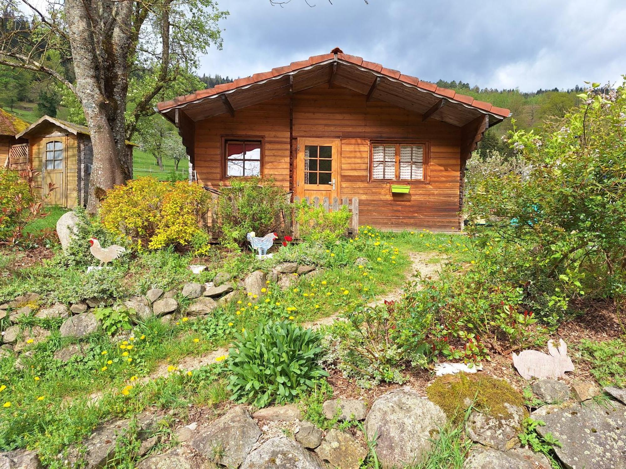 Le Repaire De Mitzerle Villa Mitzach Buitenkant foto